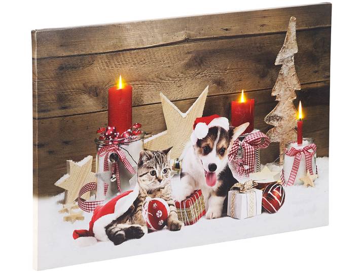 LED-Wandbild, Weihnachts-Tierbabys-Motiv, 3 Flacker-LEDs, 60, 60 x 40 cm