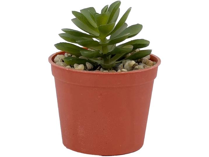 Künstliche Pflanze LOLA
