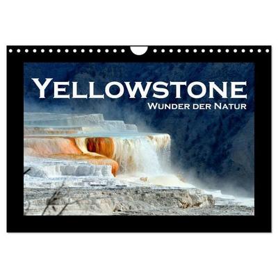Yellowstone - Wunder der Natur (Wandkalender 2026 DIN A4 quer), CALVENDO Monatskalender