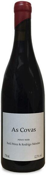 Bodegas y Viñedos Rodrigo Méndez As Covas 2023 - 75cl