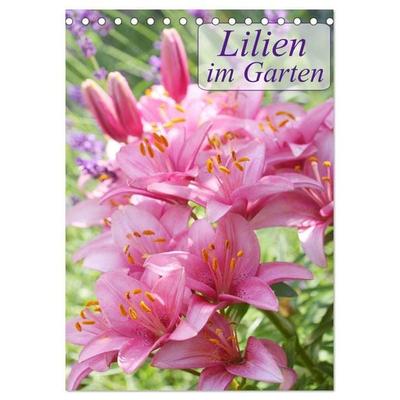 Lilien im Garten (Tischkalender 2026 DIN A5 hoch), CALVENDO Monatskalender