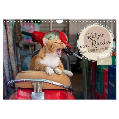 Katzen von Rhodos - Kleine Götter auf vier Pfoten (Wandkalender 2027 DIN A4 quer), CALVENDO Monatskalender