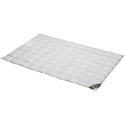 Daunenbettdecke SPESSARTTRAUM "Wildente Bettdecken 135x200cm & weitere Größen", silber (silberfarben), B:155cm L:220cm, Bezug: 100% Baumwolle. Füllung: 100% Daunen, Bettdecken, Bettdecken Ganzjahresbettdecke, Winter, Sommer