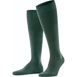 Falke, Herren, Sportsocken, Airport KH (39 - 40), Grün