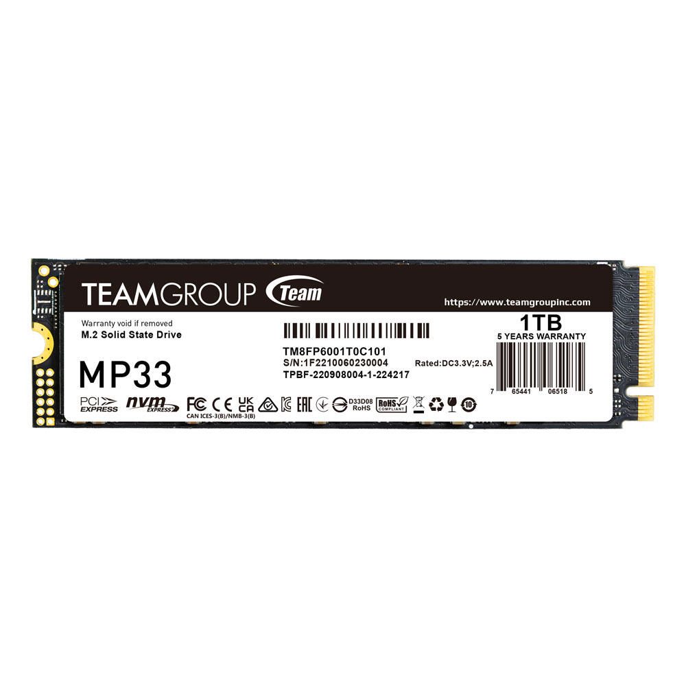 Team Group MP33 M.2 PCIe SSD - 1 TB TM8FP6001T0C101