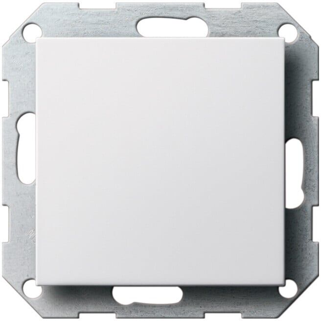 Gira Cache aveugle rws System55 026827 (026827)