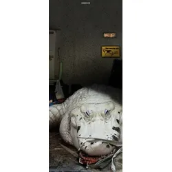 Scheurich Türfolie Alligator, für Innen- Außentüren