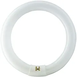 MASTER TL-E Circular -  Fluorescent lamp -  Energieverbrauch: 32.8 W -  Energiee TL-E 32W/865 1CT/12