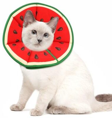 Uplift Essentials Soft Lightweight Cat Recovery Collar Adjustable Anti Lick Cartoon Protective Elizabethan Cone red m