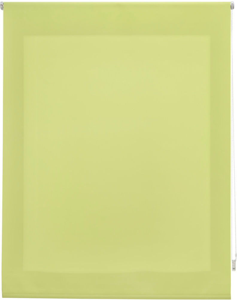 Latitude Run Semi Sheer Roller shade Pistachio 175cm L x 100cm W