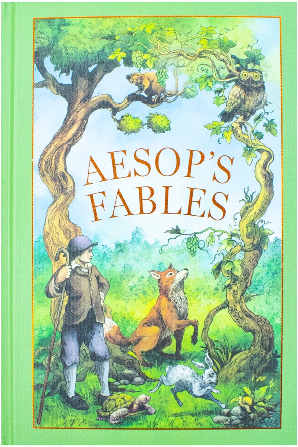 Wilco Aesop's Fables by Aesop - Leather Bound Classic Moral Tales -  Gift Edition for All Ages