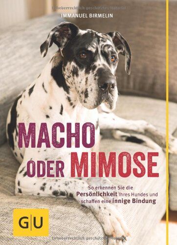 Immanuel Birmelin - Macho oder Mimose: So erkennen Sie die Persönlichkeit Ihres Hundes und schaffen eine innige Bindung (GU Tier - Spezial) - Preis vom 06.10.2026 07:26:00 h