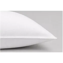 Blanreve, Kopfkissen, Kissen 60 x 60 cm (2 Stück) (60 x 60 cm)