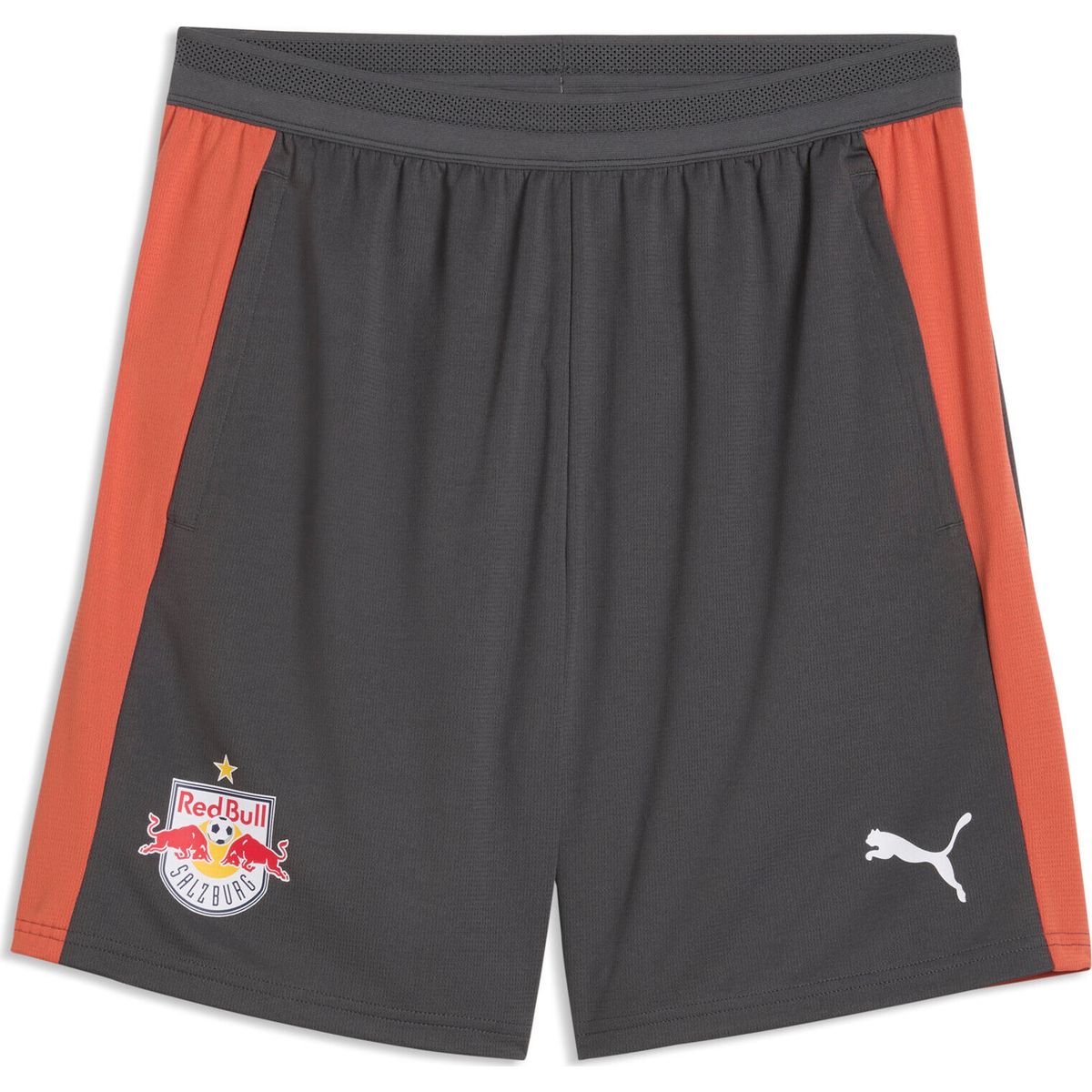 Puma RBS Training Shorts w Pockets shadow gray-puma white (16) S 786584-16-S