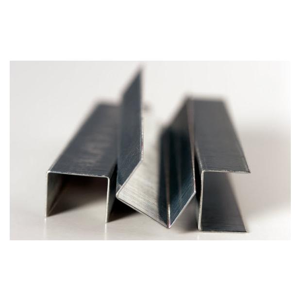 Rapid Standard (5000x) (24861800)