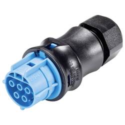 Wieland Electric 96.051.4053.9 Steckverbinder