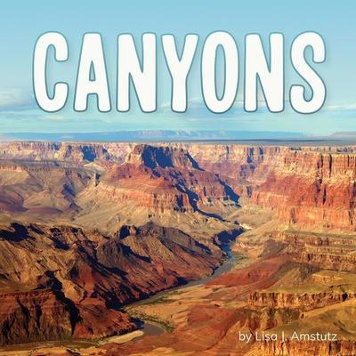 Canyons, Taschenbuch von Lisa J. Amstutz, Capstone, 978-1-977126-34-4