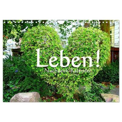 Leben! - Nachdenk-Kalender (Wandkalender 2027 DIN A4 quer), CALVENDO Monatskalender