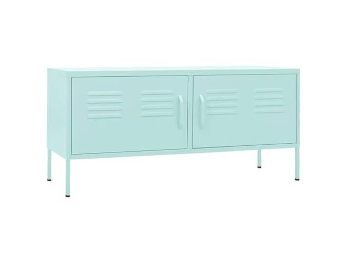 vidaXL TV Schrank mit 2 Türen Lowboard TV Möbel Tisch Board Sideboard Fernsehtisch Fernsehschrank HiFi-Schrank Minzgrün 105x35x50cm Stahl