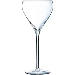 24 x Brio Sektschale 21cl * - Arcoroc Transparent