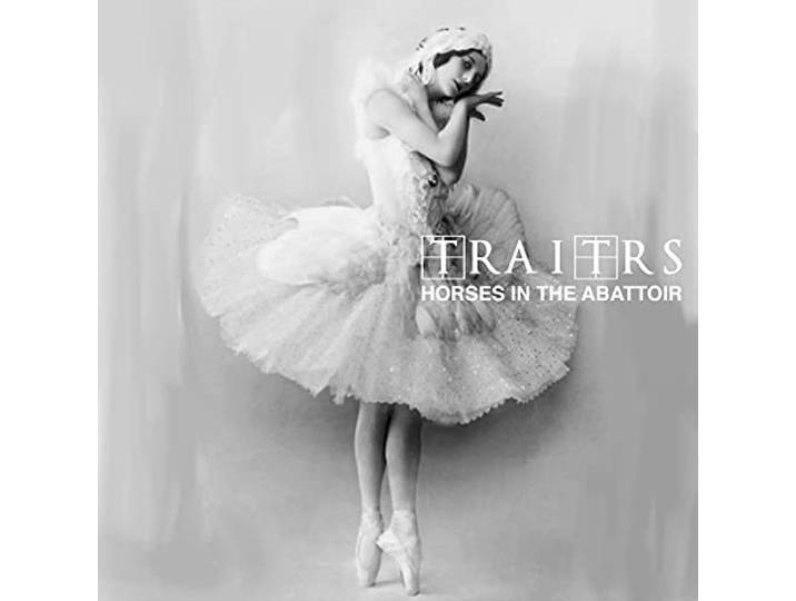 Horses in the Abattoir
