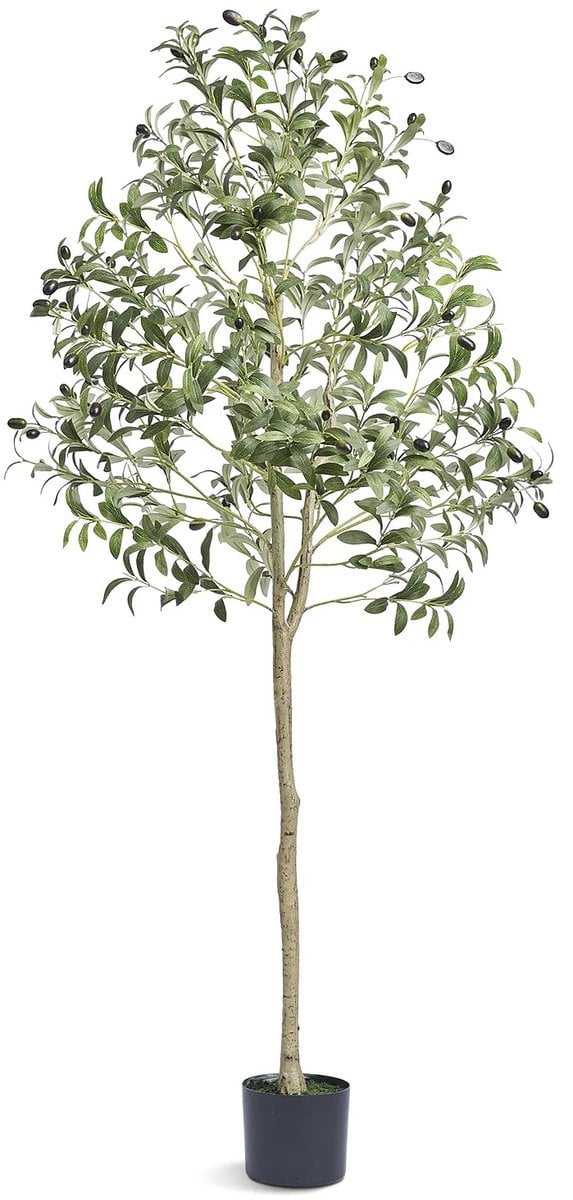 Cherrys Finds Kunst Olijfboom met Zwarte Pot, 155 cm Hoog