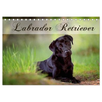 Labrador Retriever (Tischkalender 2027 DIN A5 quer), CALVENDO Monatskalender