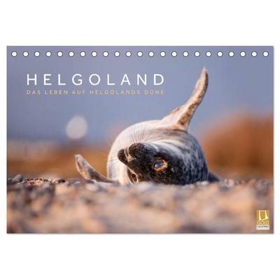 Helgoland - Das Leben auf der Düne Helgolands (Tischkalender 2027 DIN A5 quer), CALVENDO Monatskalender