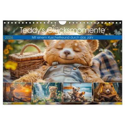 Abenteuer eines Taddybären (Wandkalender 2026 DIN A4 quer), CALVENDO Monatskalender
