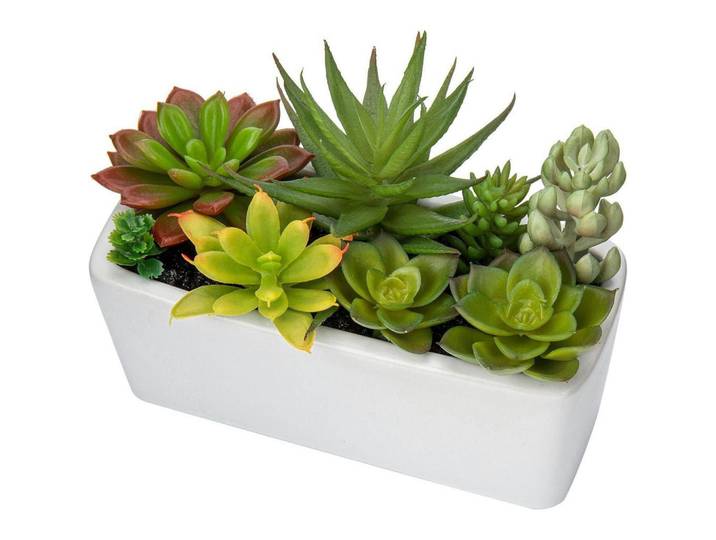 Kunstpflanze Sukkulenten im Keramiktopf Weiß 14 cm, Mehrfarbig, 16 cm, Dekoration, Blumen & Blumentöpfe, Kunstpflanzen