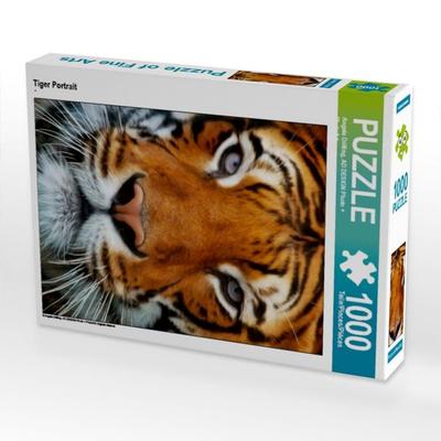 CALVENDO Puzzle Tiger Portrait | 1000 Teile Lege-Größe 64x48cm Foto-Puzzle für glückliche Stunden