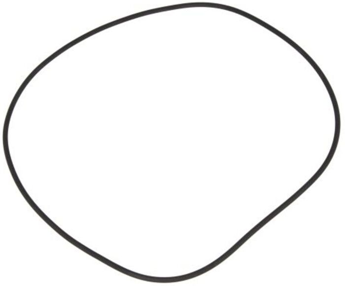 Gummi-O-Rings LEMA LE124970