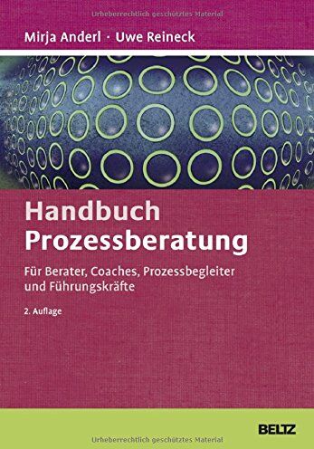 Mirja Anderl - Handbuch Prozessberatung: Für Berater, Coaches, Prozessbegleiter und Führungskräfte (Beltz Weiterbildung) - Preis vom 09.10.2026 07:28:09 h