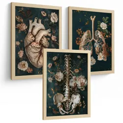 POSTER Set aus 3 Anatomie Mensch Drucke und Wandbilder mit Herz Atmungssystem und Skelett Botanischer Stil Wanddekoration Größe Leichter Holzrahmen A4