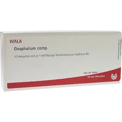 GNAPHALIUM COMP.Ampullen 10X1 ml