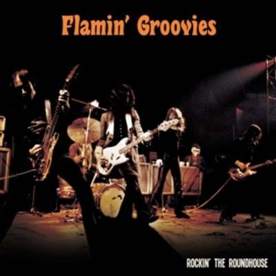 Rockin The Roundhouse (ORANGE) - Flamin Groovies, Vinyl