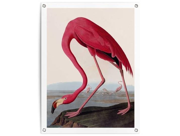 REINDERS Gartendeko, Audubon Flamingo, Garten, Bilder, Wanddeko, Room Decor, Leinwand, Rosa, 80 x 60