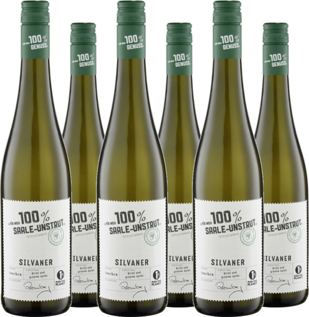 6er Vorteilspaket Silvaner trocken 2024 Für mich 100% Saale-Unstrut