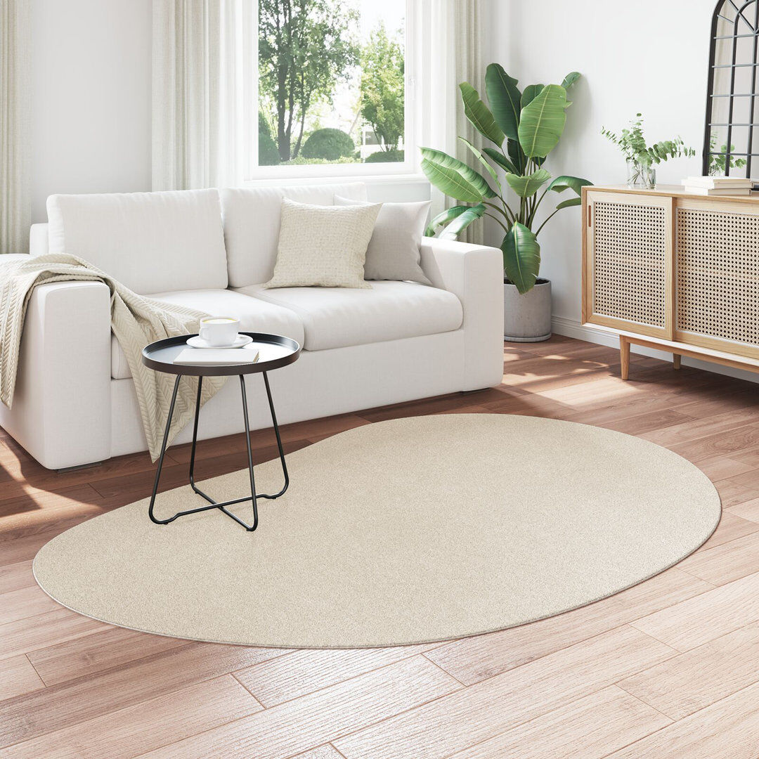 Metro Rugs Beige Synthetic Fiber Accent Rug Other Beige Novelty 140 x 200 cm
