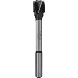 Bosch Professional Zubehör, Bohrereinsatz, Scheibenschneider, 10 mm, 140 mm (10 Millimeter)