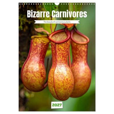 Bizarre Carnivores (Wall Calendar 2027 DIN A3 portrait), CALVENDO 12 Month Wall Calendar
