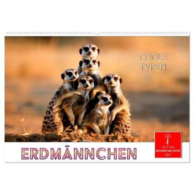 Erdmännchen - coole Typen (Wandkalender 2027 DIN A2 quer), CALVENDO Monatskalender