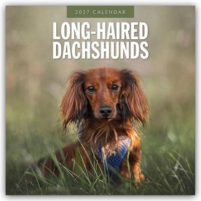 Long-Haired Dachshunds – Langhaardackel 2027 – 16-Monatskalender