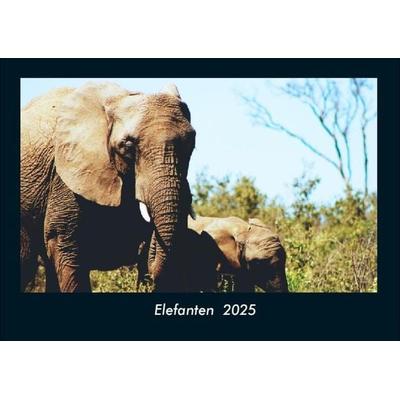 Elefanten 2025 Fotokalender DIN A4