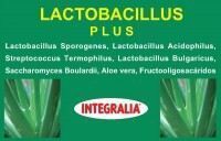 Integralia Lactobacillus Plus 60 Capsules