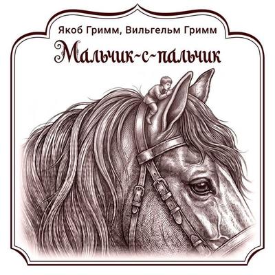 Mal'chik-s-pal'chik - Jakob Grimm,Wilhelm Grimm, Audio, 9785171893361