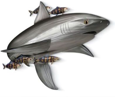Copper Art Inc. Shark and Friends Wall Sculpture Silver , Silver