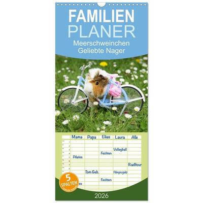 Familienplaner 2026 - Meerschweinchen. Geliebte Nager mit 5 Spalten (Wandkalender, 21 x 45 cm) CALVENDO