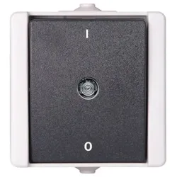 Kopp 540256000 Universalschalter AP-FR 2-polig10AX 250V Aquatop hg/dg