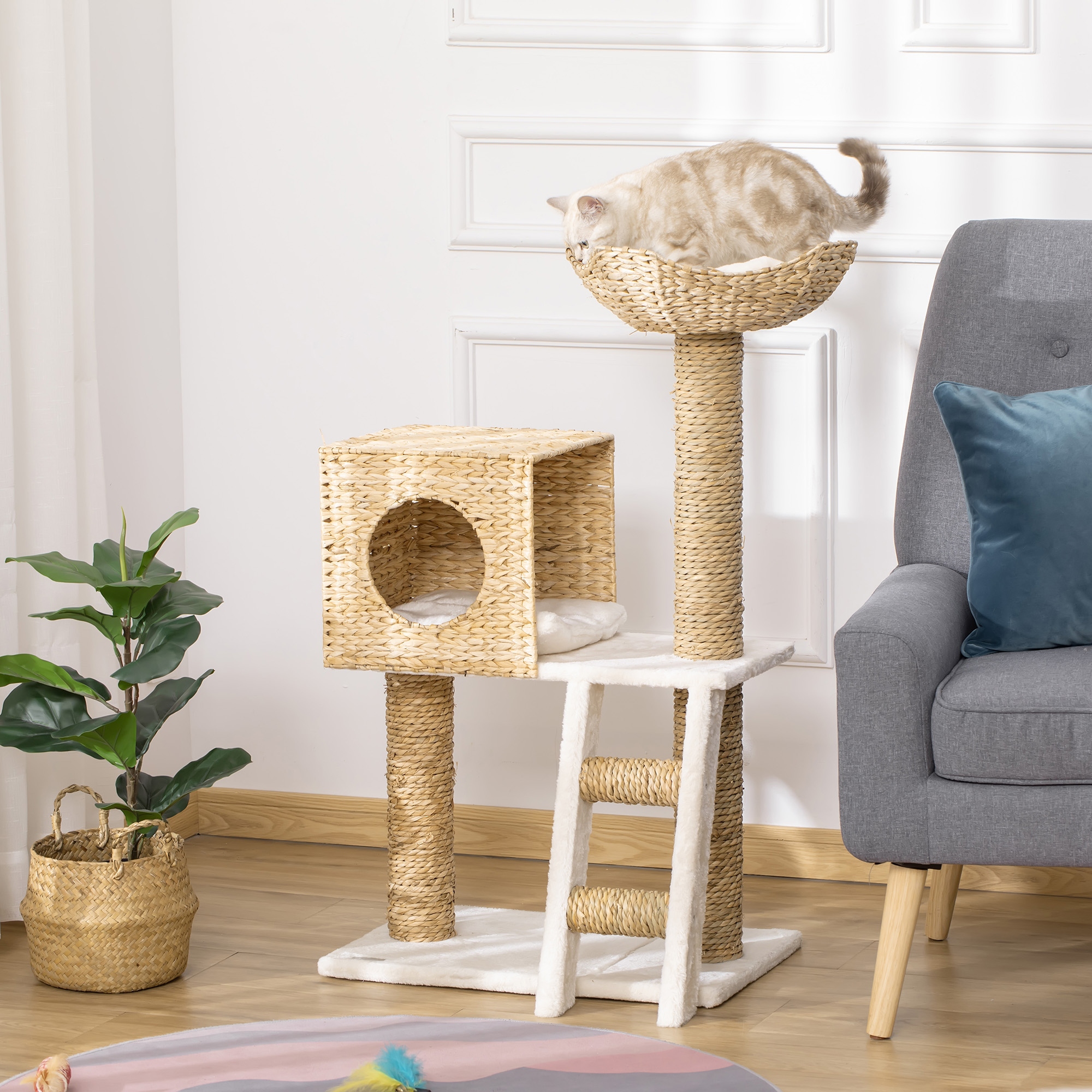 Pawhut Albero per gatti albero da arrampicata tiragraffi per gatti altezza 100,5 cm centro di attività pali avvolti in corda